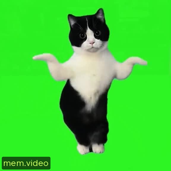 Кадр на 0:02