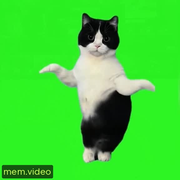 Кадр на 0:03