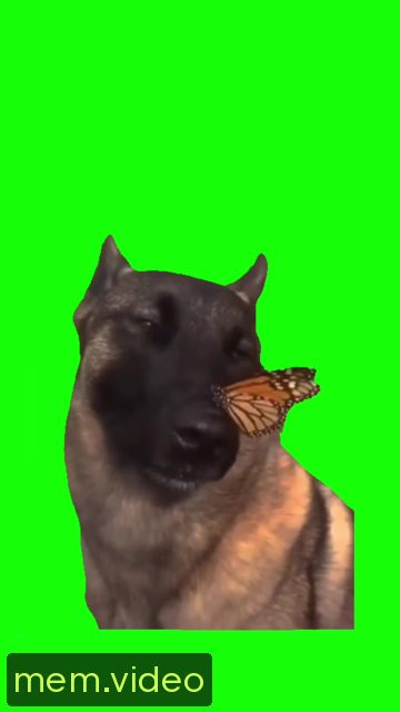 Кадр на 0:04
