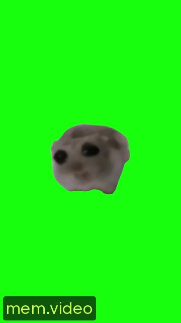 Кадр на 0:00