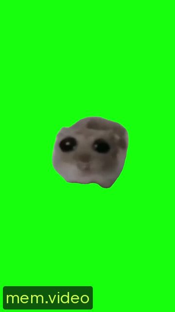 Кадр на 0:03