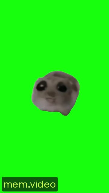 Кадр на 0:05