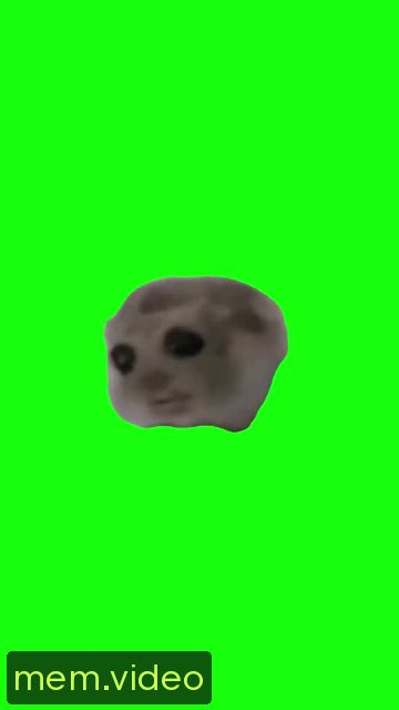 Кадр на 0:07