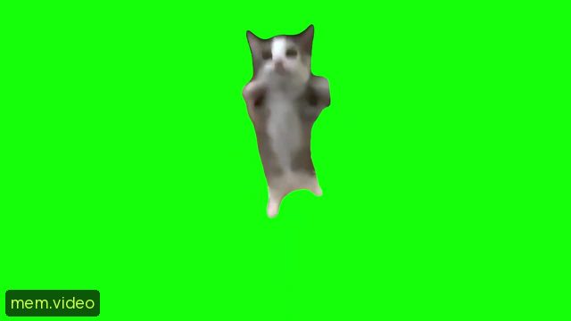 Кадр на 0:02