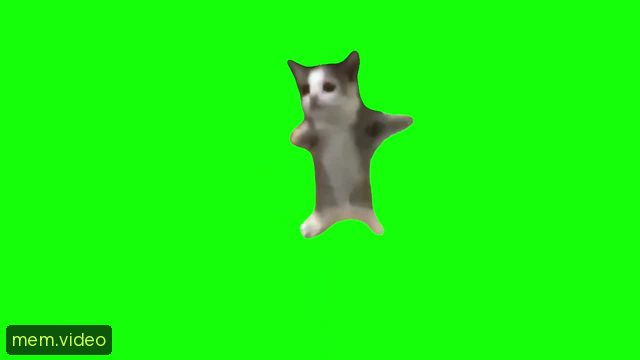 Кадр на 0:03