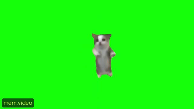 Кадр на 0:04