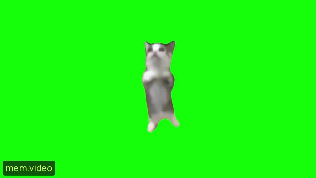 Кадр на 0:06