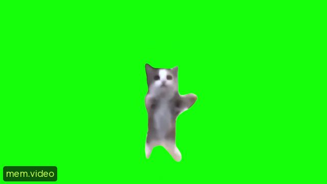 Кадр на 0:07