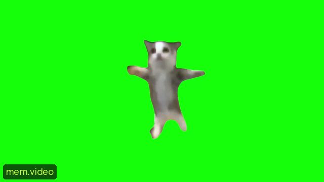 Кадр на 0:12