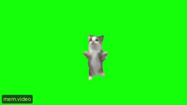 Кадр на 0:13