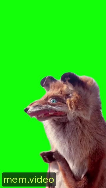 Кадр на 0:05