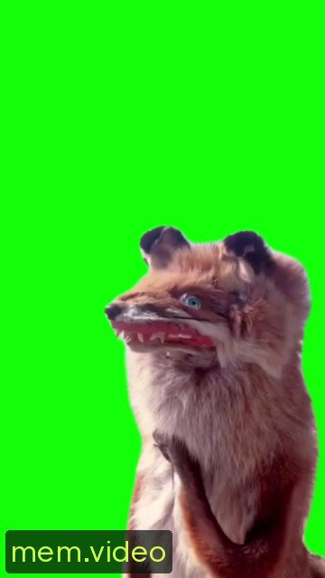 Кадр на 0:11