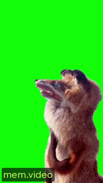 Кадр на 0:12