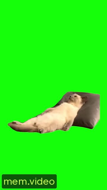 Кадр на 0:00