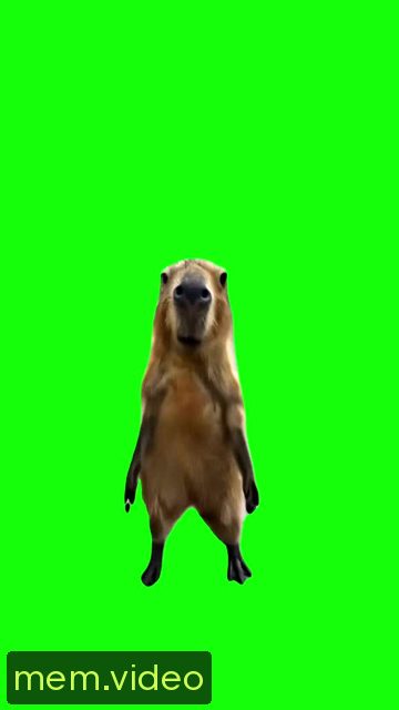 Кадр на 0:01