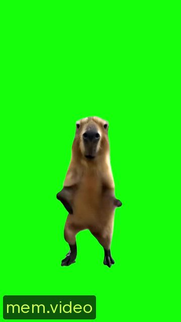 Кадр на 0:02