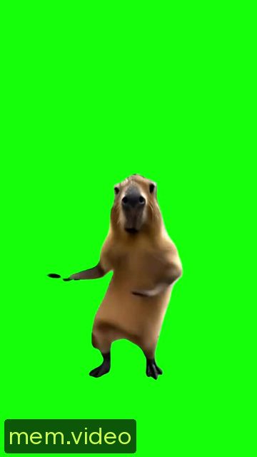 Кадр на 0:03