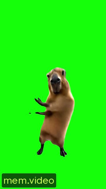 Кадр на 0:04