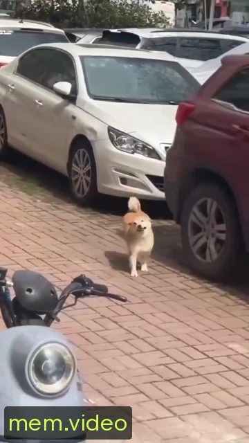 Кадр на 0:03