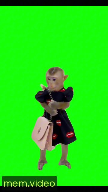 Кадр на 0:11