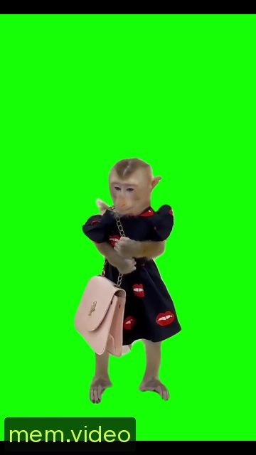 Кадр на 0:13