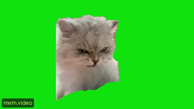 Кадр на 0:00