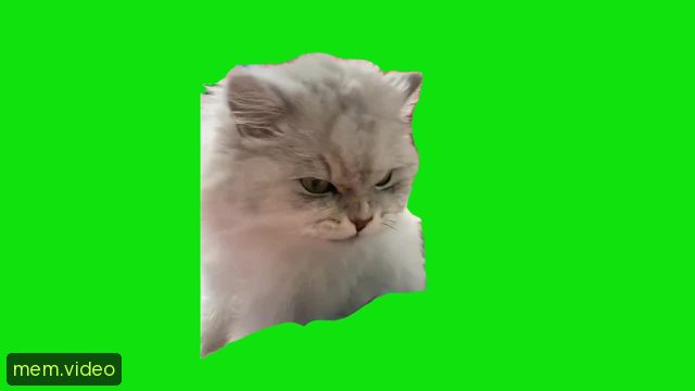 Кадр на 0:01