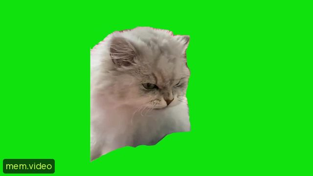 Кадр на 0:02