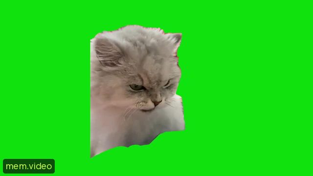Кадр на 0:04