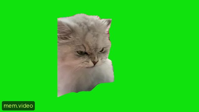 Кадр на 0:06
