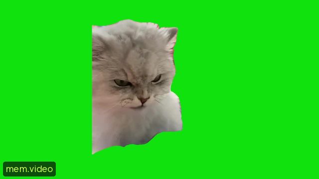 Кадр на 0:07