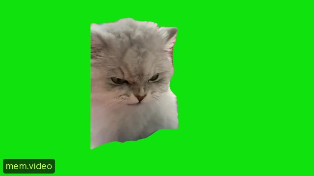 Кадр на 0:08