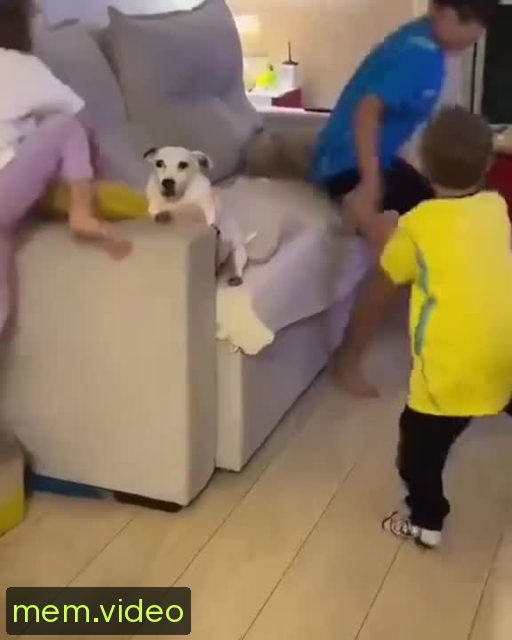 Кадр на 0:00