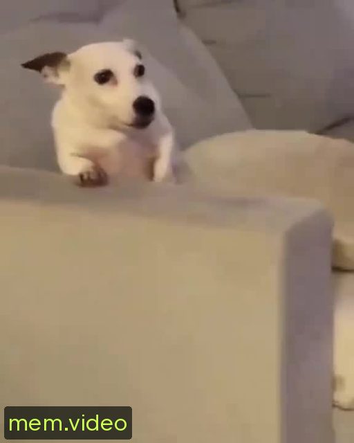 Кадр на 0:17