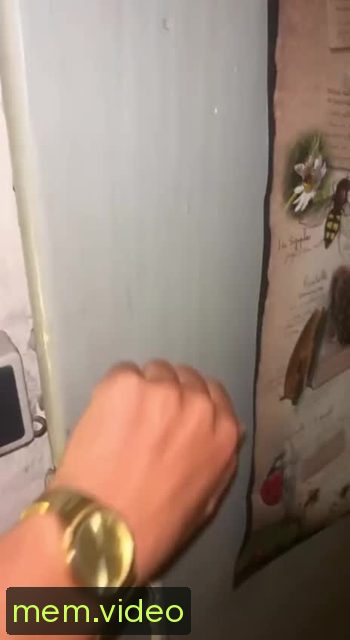 Кадр на 0:00