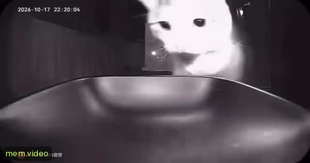 Кадр на 0:01
