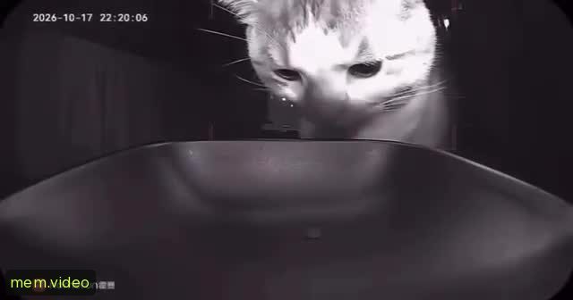 Кадр на 0:03