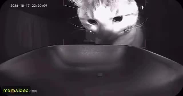 Кадр на 0:07