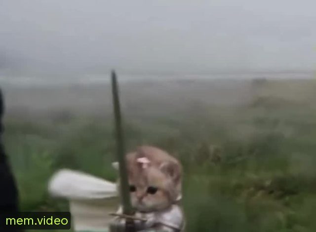 Кадр на 0:03