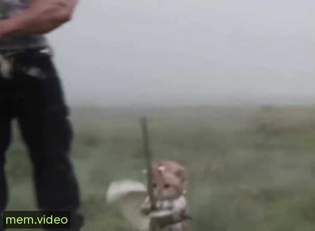 Кадр на 0:03