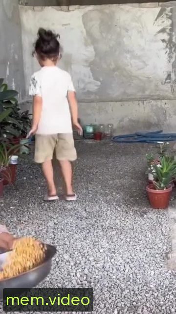 Кадр на 0:05