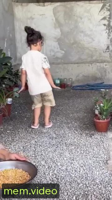 Кадр на 0:05